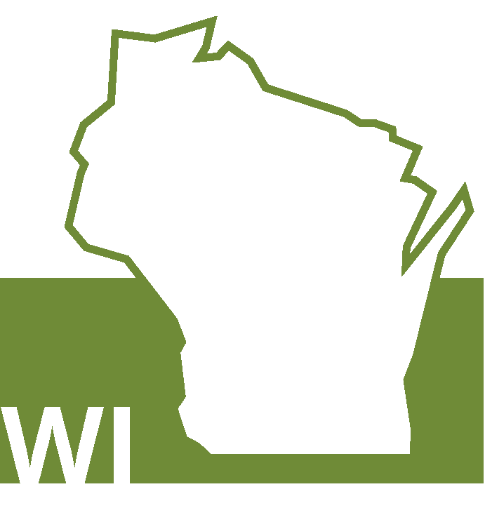 Wisconsin Icon